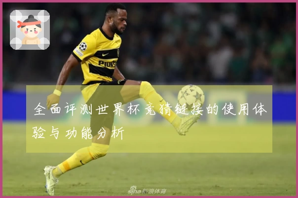 全面评测世界杯竞猜链接的使用体验与功能分析