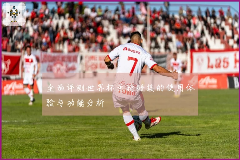 全面评测世界杯竞猜链接的使用体验与功能分析