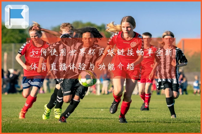 如何使用世界杯买球链接畅享全新体育直播体验与功能介绍