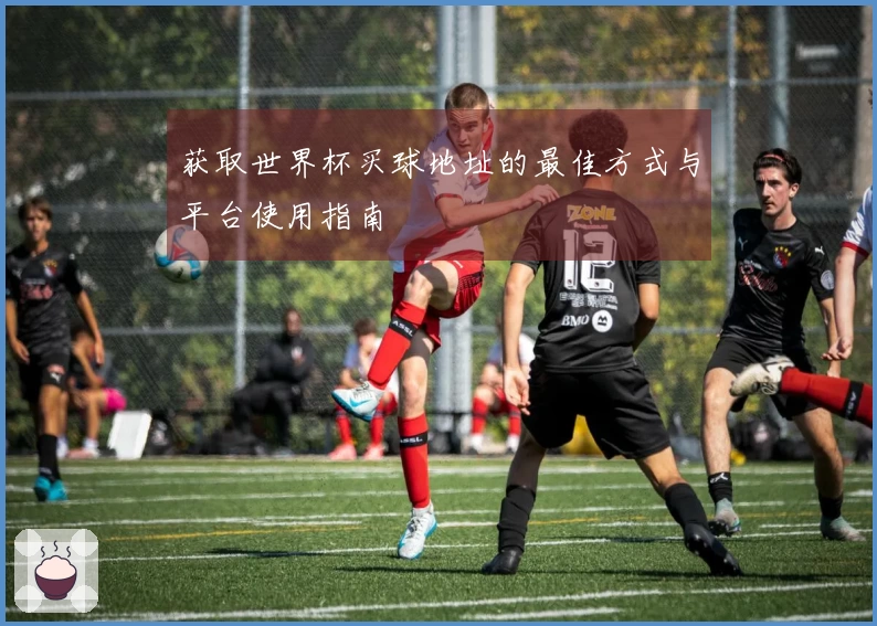 获取世界杯买球地址的最佳方式与平台使用指南