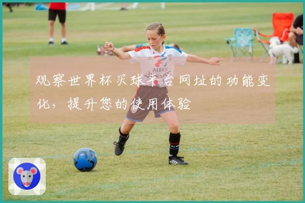 观察世界杯买球平台网址的功能变化，提升您的使用体验